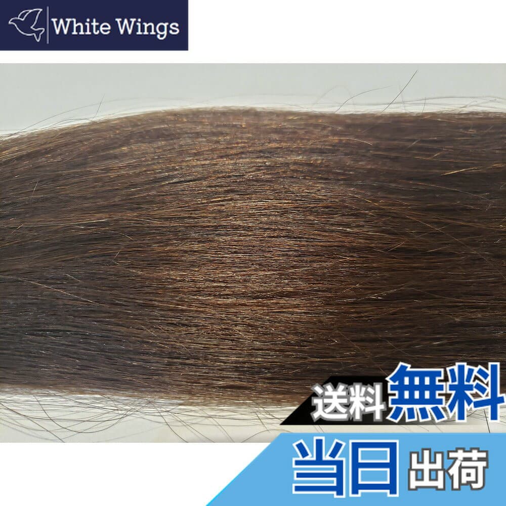 【送料無料】GLAVISエクステ：プラチナレミーヘアーP67センチ約100g：2