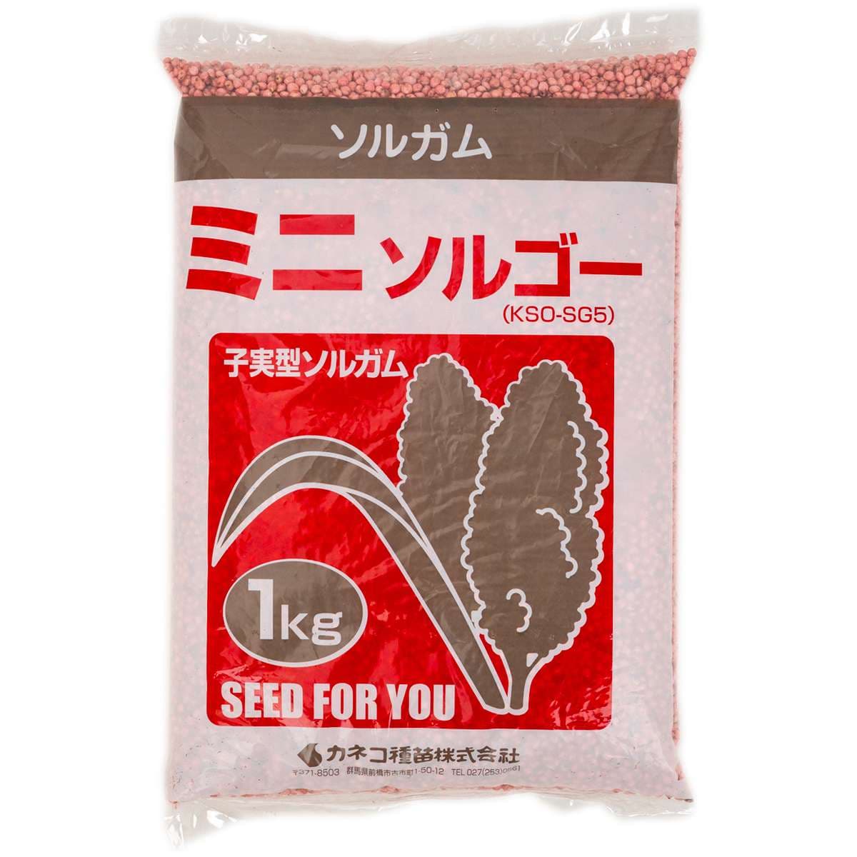 ソルガム ミニソルゴー 1kg カネコ種苗 緑肥 種 緑肥 種子 ソルゴー 種 ソルゴー 種子 緑肥 業務用 種子 緑肥 業務用 種 ソルゴーの種
