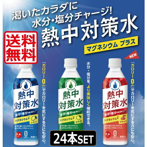 【送料無料 【赤穂化成熱中対策水 1ケース×24本 （レモン味・日向夏味・アセロラ味） 500ml　飲料水 ソフトドリンク 水分補給 夏 暑さ対策 真夏日
