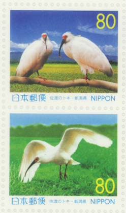 【ふるさと切手】佐渡のトキ(新潟県) 80円切手シート 平成11年(1999年)発行 信越-20【記念切手】