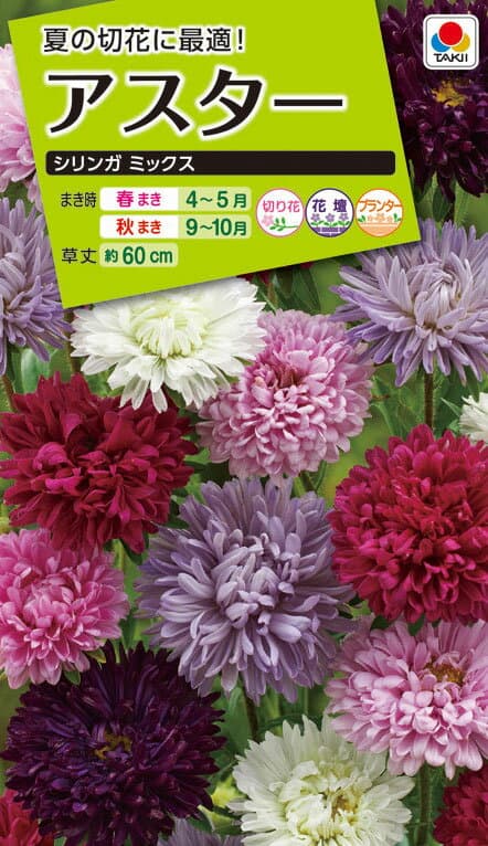 花種　NL200 アスター シリンガ ミックス 小袋 [FAS864]【花の種】【タキイのタネ】【ガーデニング】