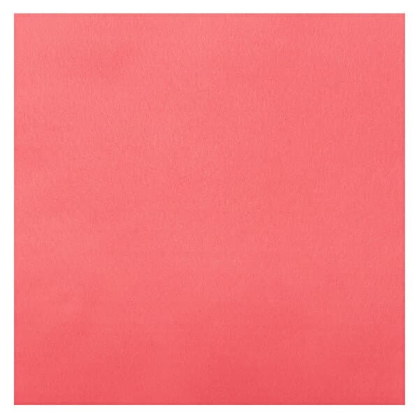 フェルト 『ウォッシャブルフェルト 18角 (1mm厚) RN-04番色』 SUN FELT サンフェルト