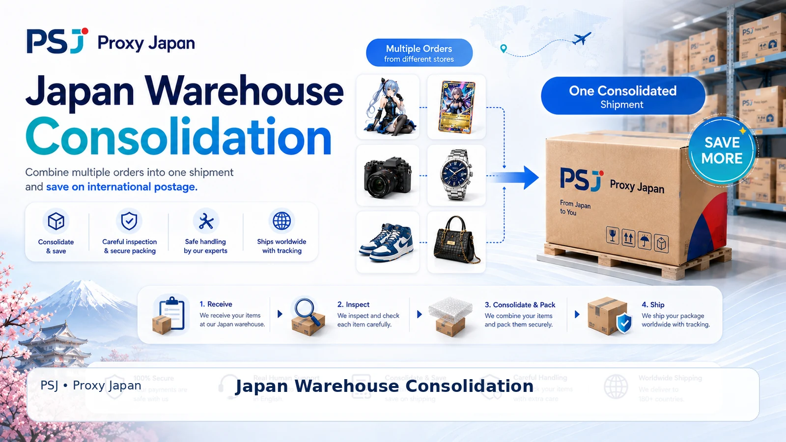 Japan Proxy Shopping visual guide for Japan Warehouse Consolidation